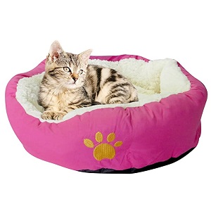 10 Best Cat Bed Reviews of 2024 | Top-Rated by Cats